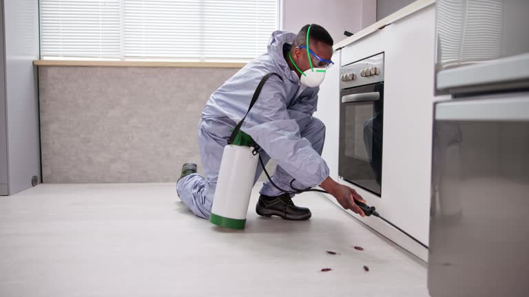 Real Estate Pest Inspections in Terrace Heights, WA